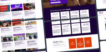 AVH - CAPTURE SITE WEB